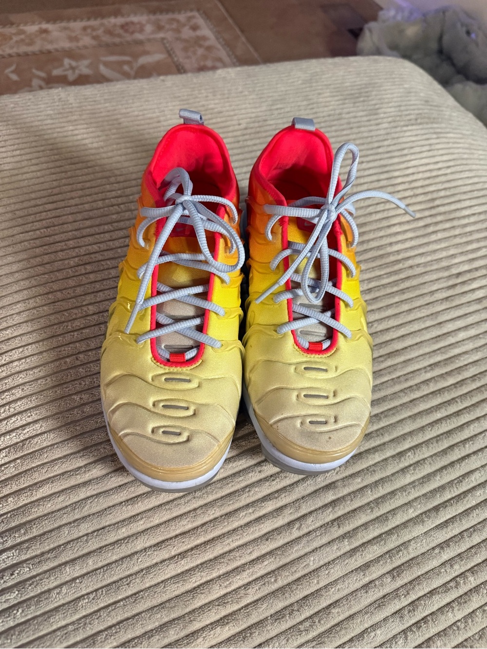Gradient Nike Air Vapormax Plus
